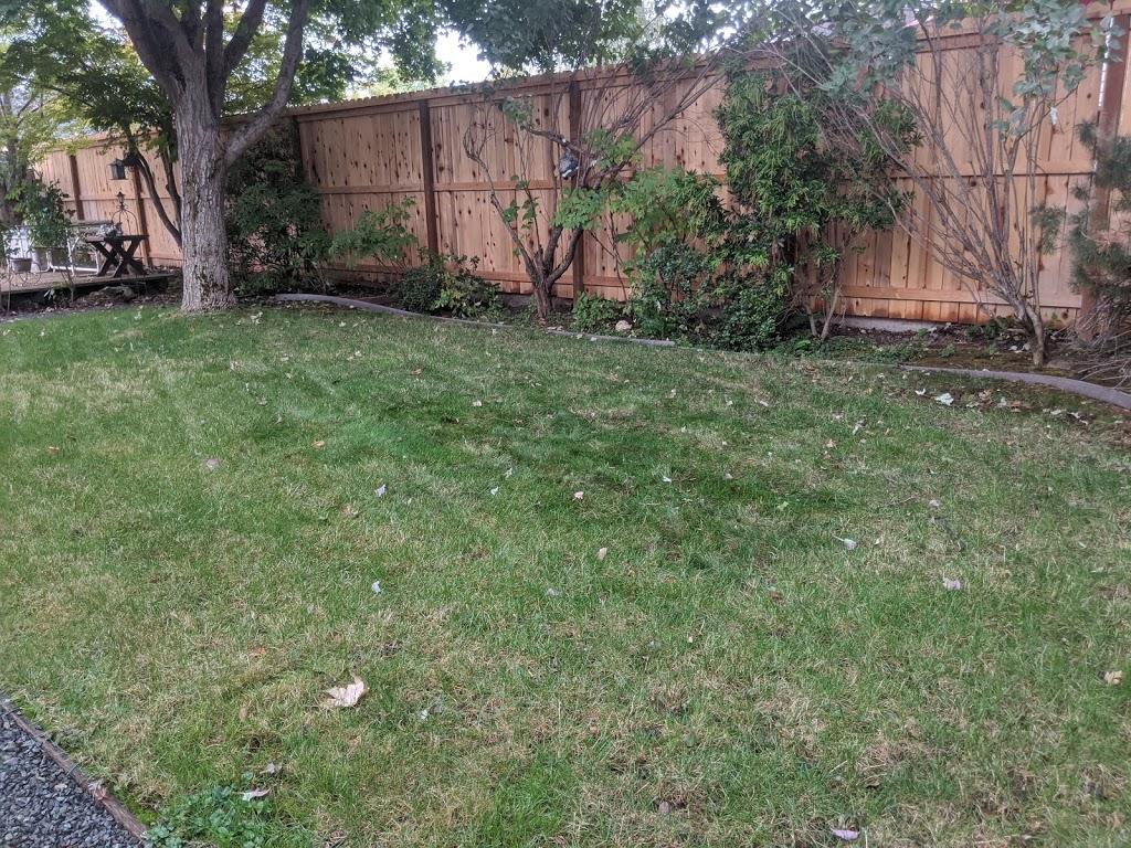 451 Brandon Street Central Point, OR 97502 - Photo 17 of 18 IMG_20200924_085948