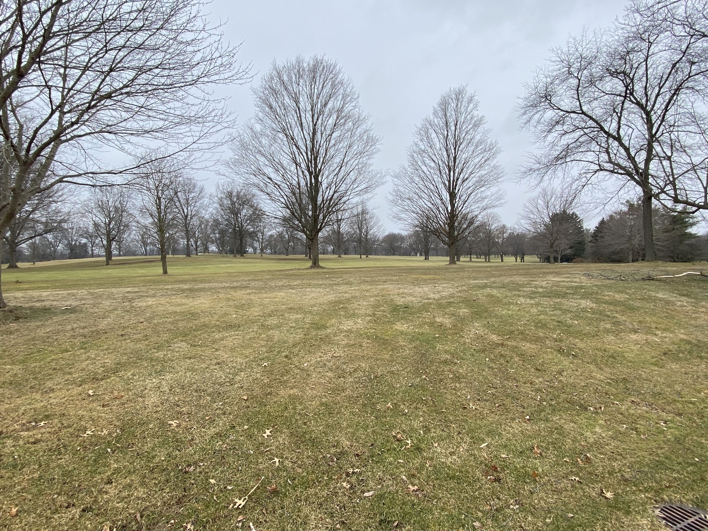 1545 Withorn Lane Inverness, IL 60067 - Photo 58 of 61 Gallery Image 58