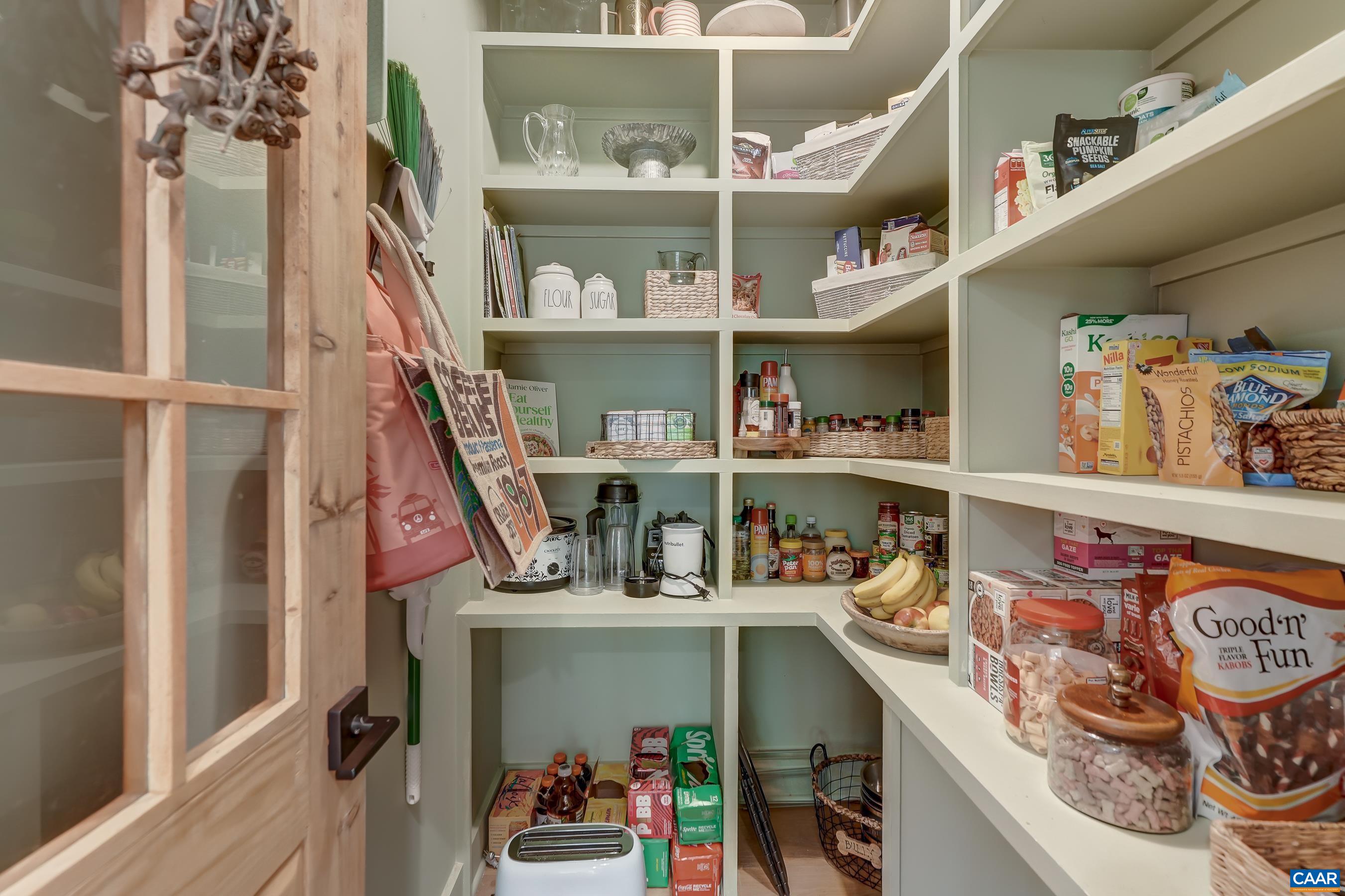 3327 Rowcross Street Crozet, VA 22932 - Photo 15 of 63 Walk in pantry features solid shelving, and glass door.