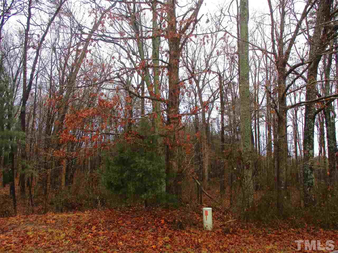 0 Tower Road Norlina, NC 27563 - Photo 4 of 8 Gallery Image 4
