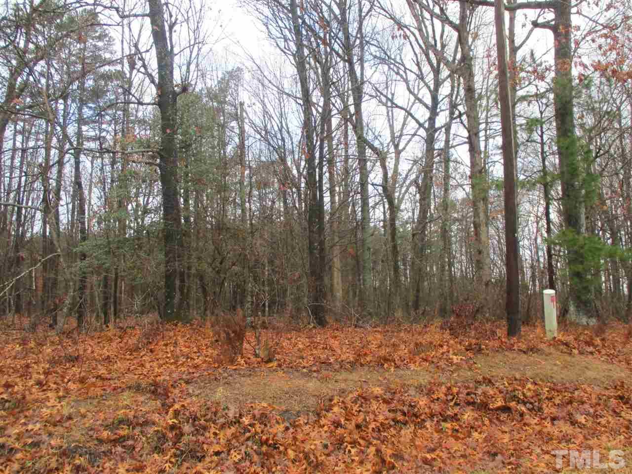 0 Tower Road Norlina, NC 27563 - Photo 6 of 8 Gallery Image 6