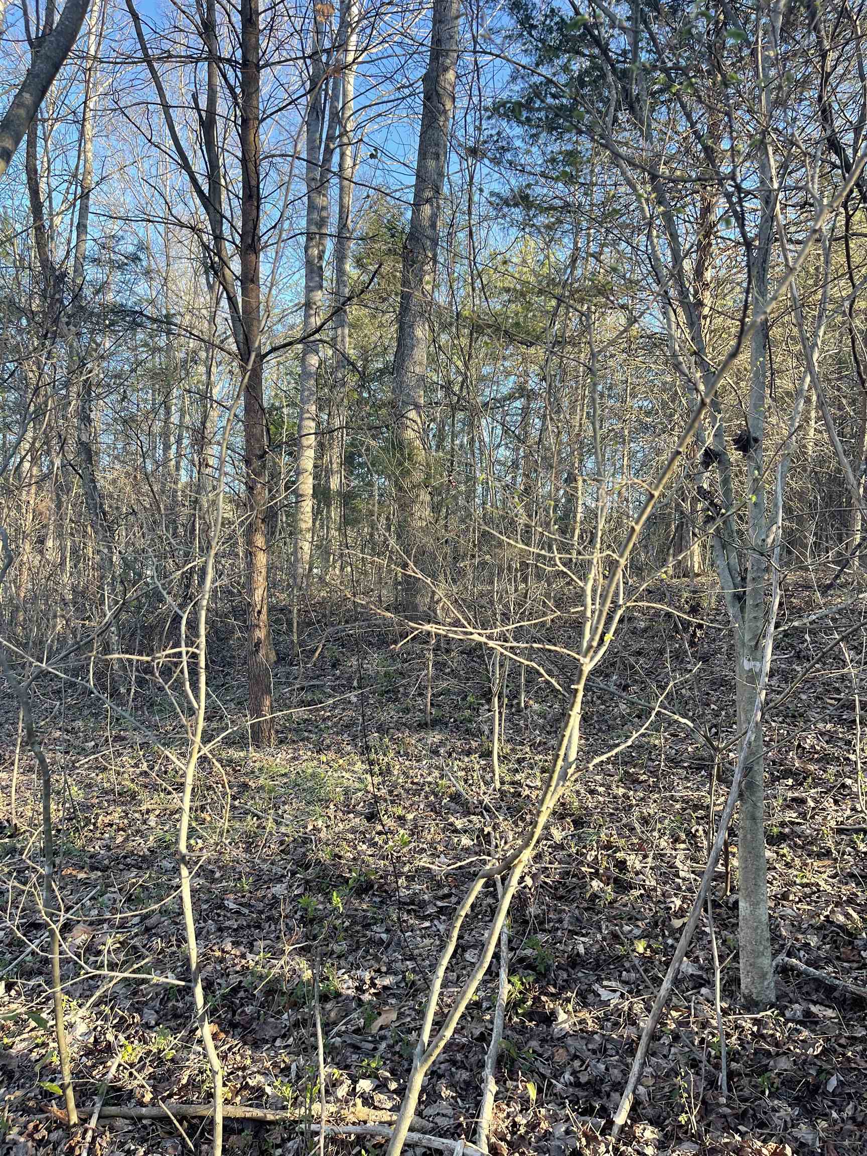 996 Goodwin Bridge Road Travelers Rest, SC 29690 - Photo 3 of 3