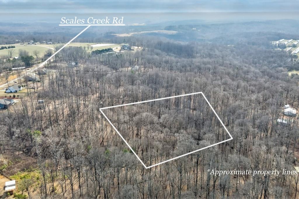 0 Scales Creek Road Homer, GA 30547 - Photo 8 of 13