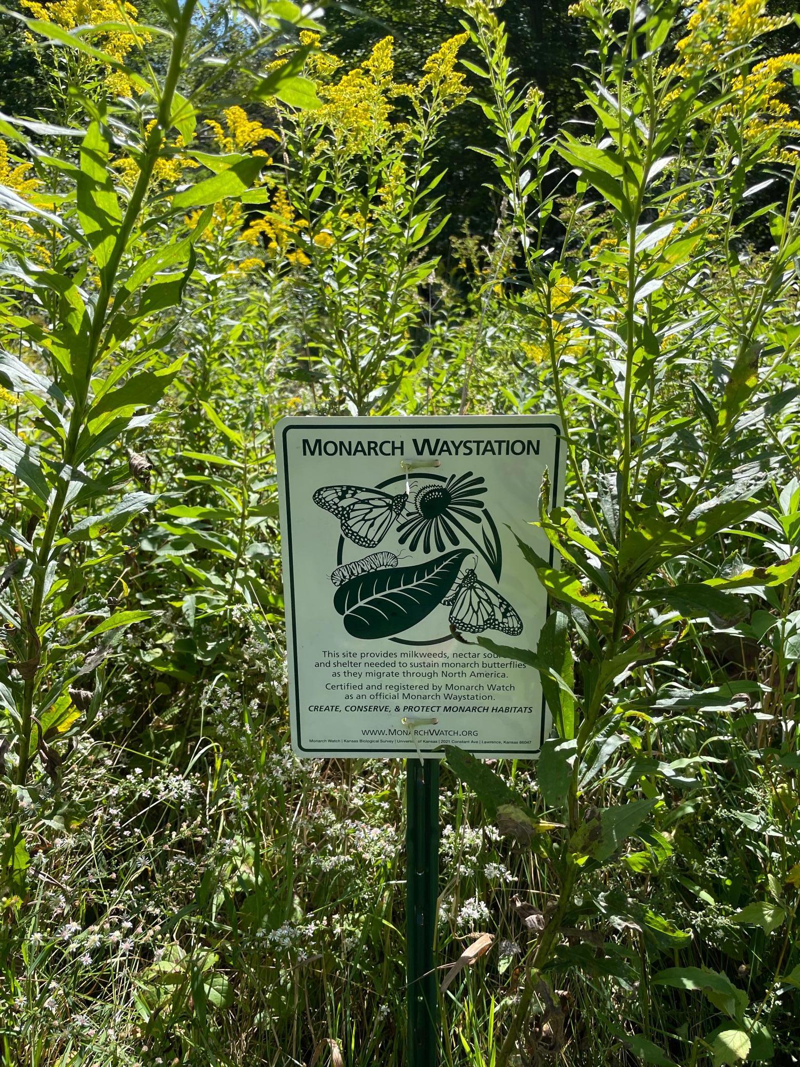 2226 150th Street Milltown, WI 54858 - Photo 35 of 51