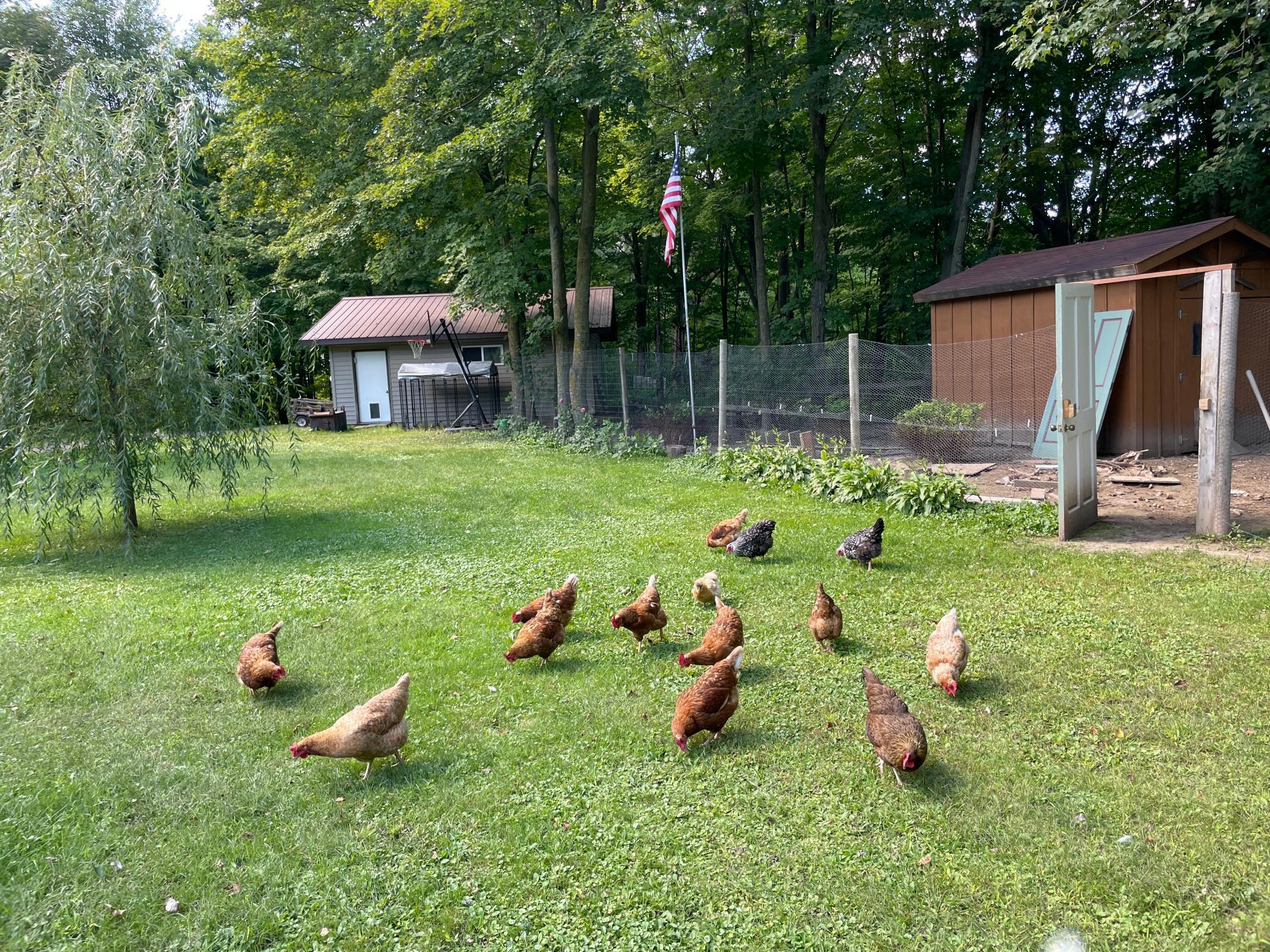 2226 150th Street Milltown, WI 54858 - Photo 39 of 51