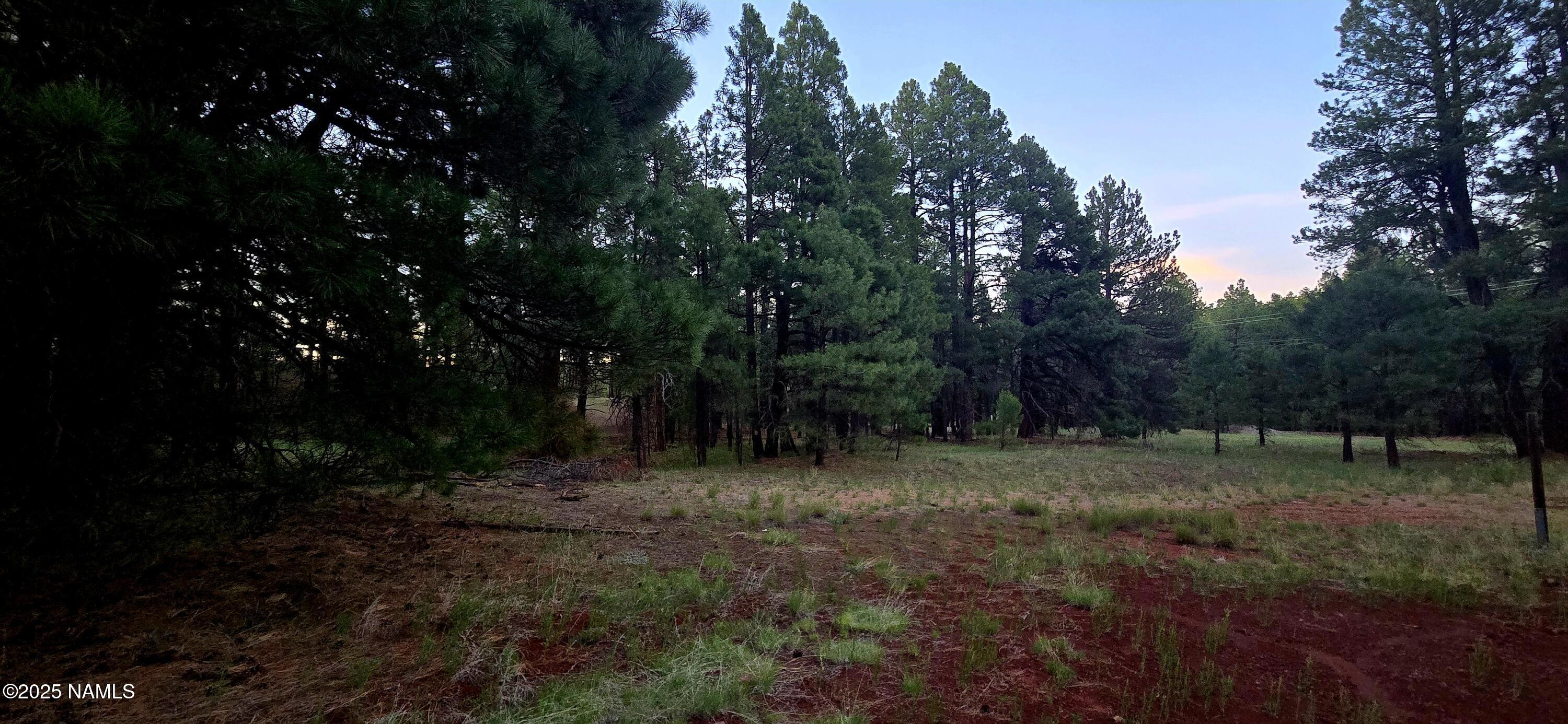 77 East Ski Run Road Williams, AZ 86046 - Photo 2 of 8 a view of outdoor space with trees all around