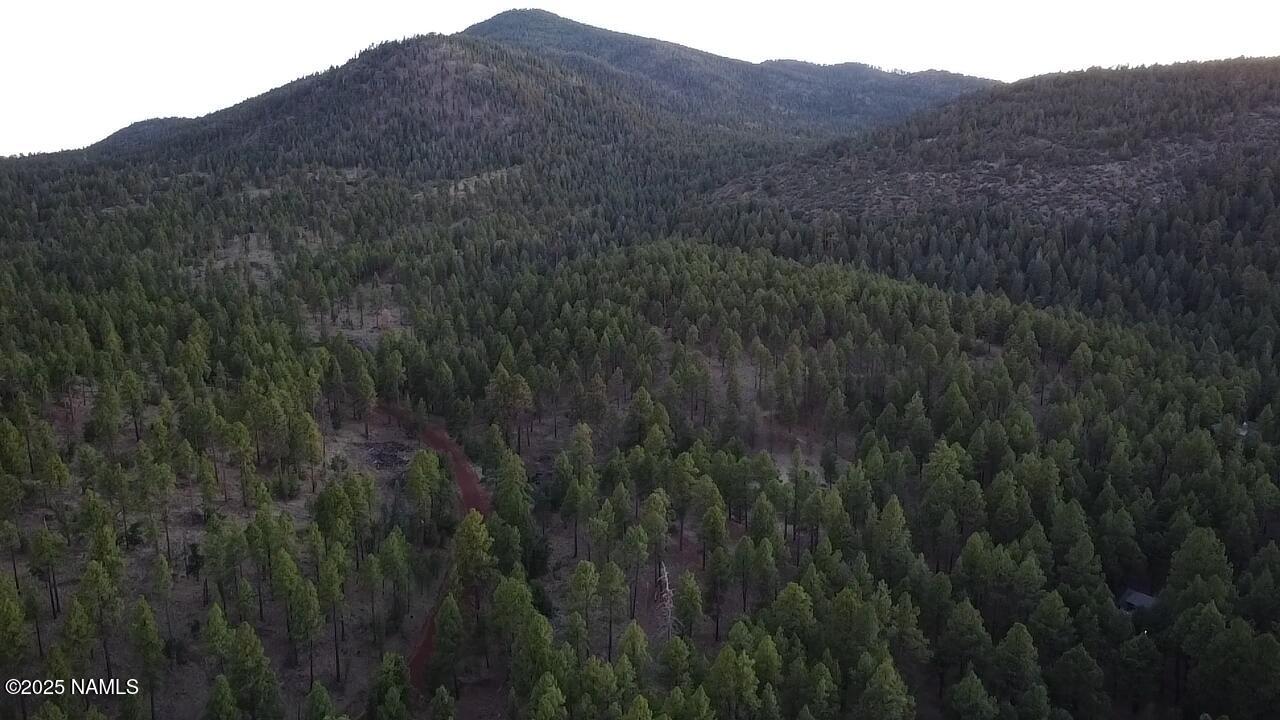 77 East Ski Run Road Williams, AZ 86046 - Photo 3 of 8 a view of a dry yard