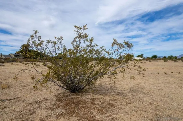 $60,000 | 0 Perch Avenue, Ridgecrest, CA 93555