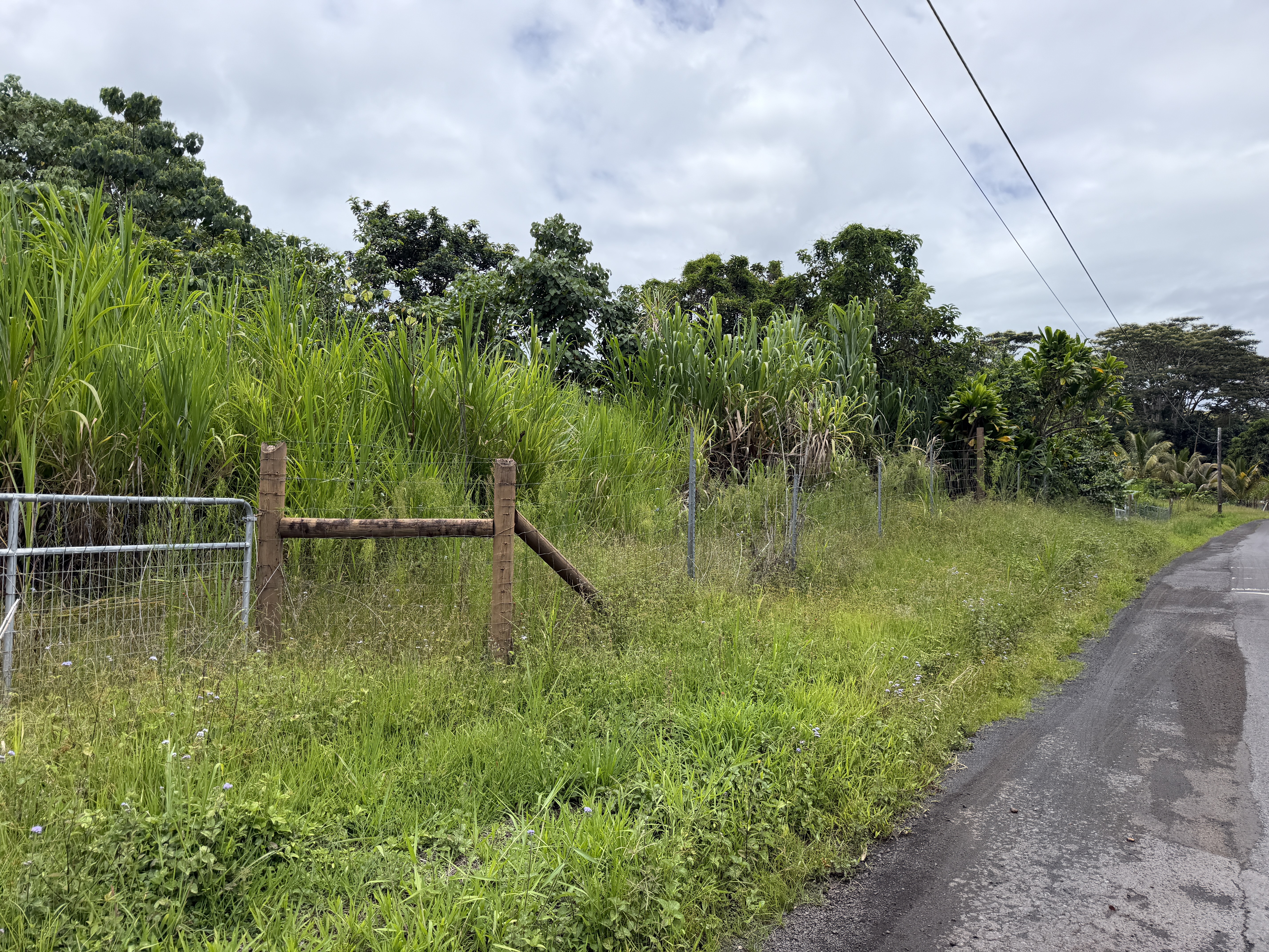 2 Opihikau Road Pahoa, HI 96778 - Photo 12 of 16