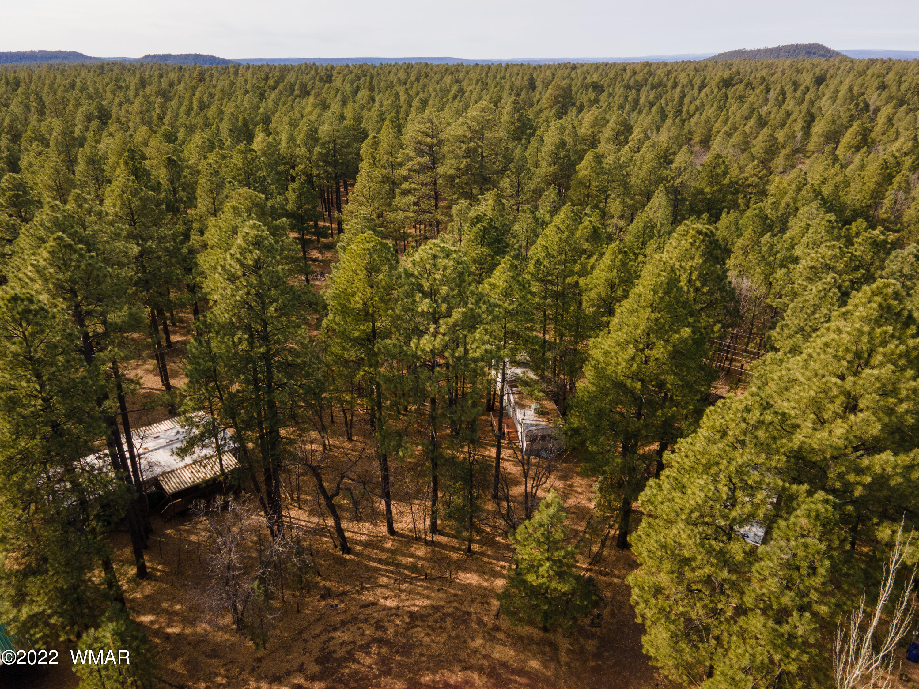 4330 West Blue Ridge Loop Pinetop, AZ 85935 - Photo 18 of 19