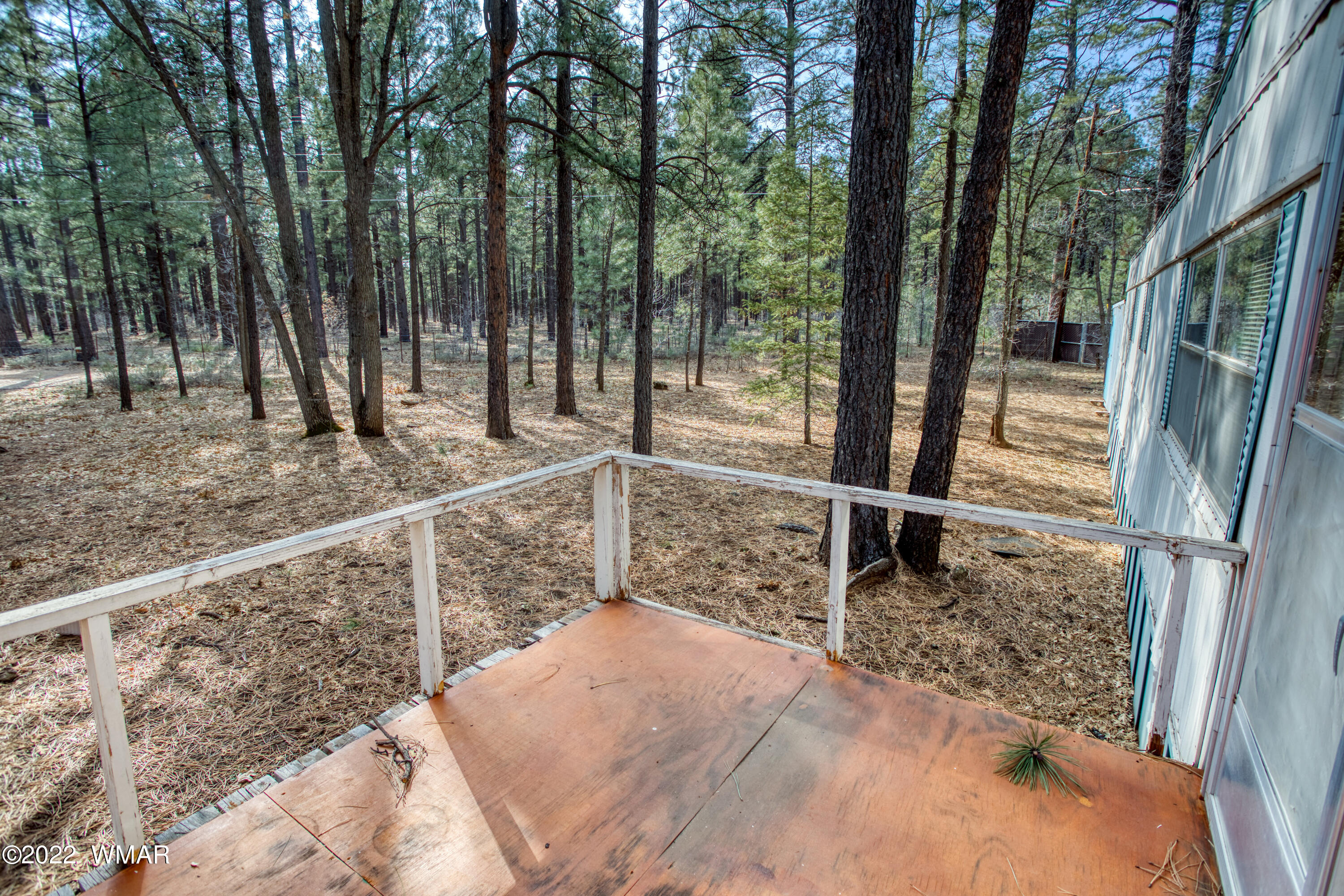 4330 West Blue Ridge Loop Pinetop, AZ 85935 - Photo 4 of 19