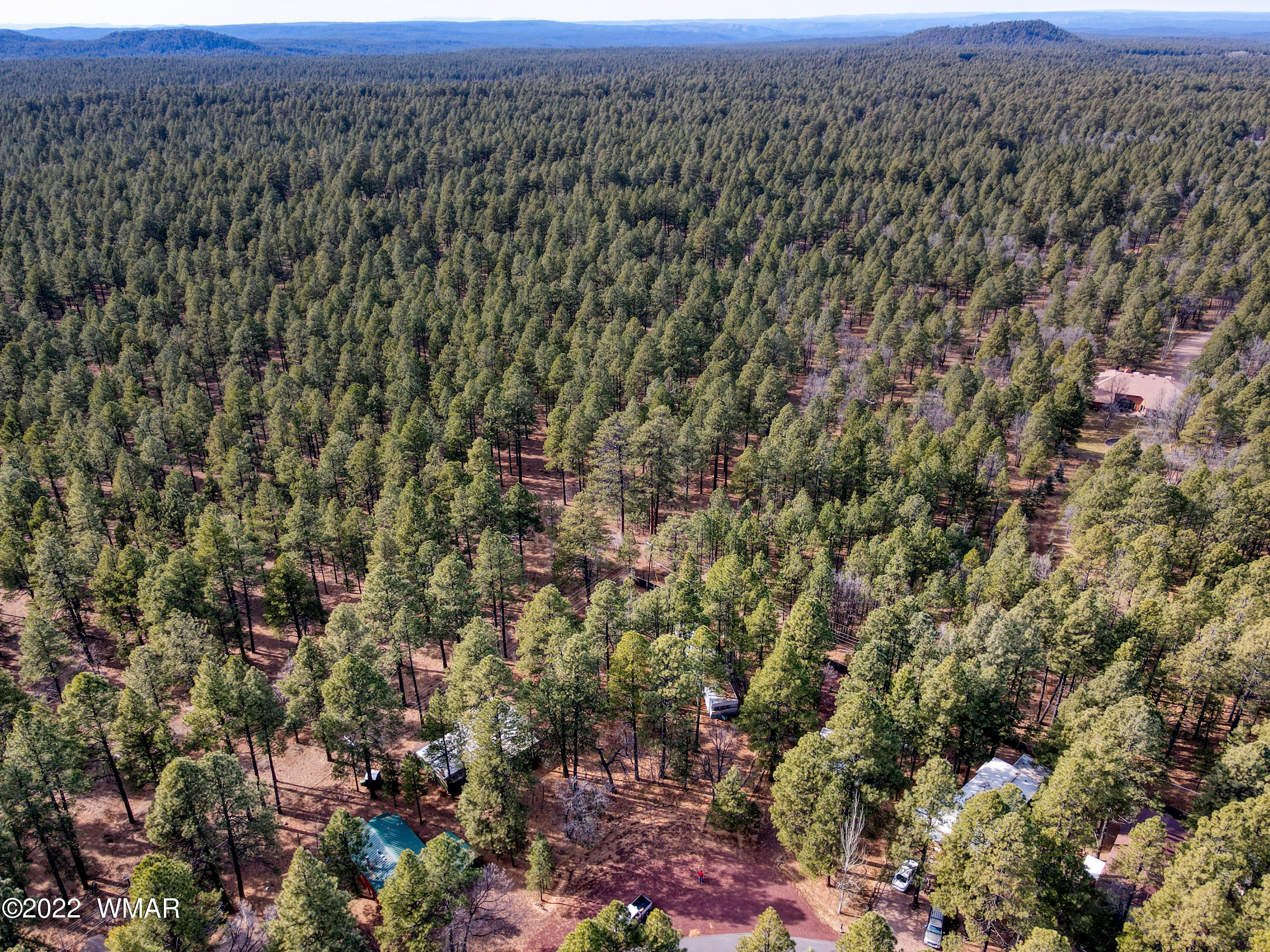 4330 West Blue Ridge Loop Pinetop, AZ 85935 - Photo 5 of 19