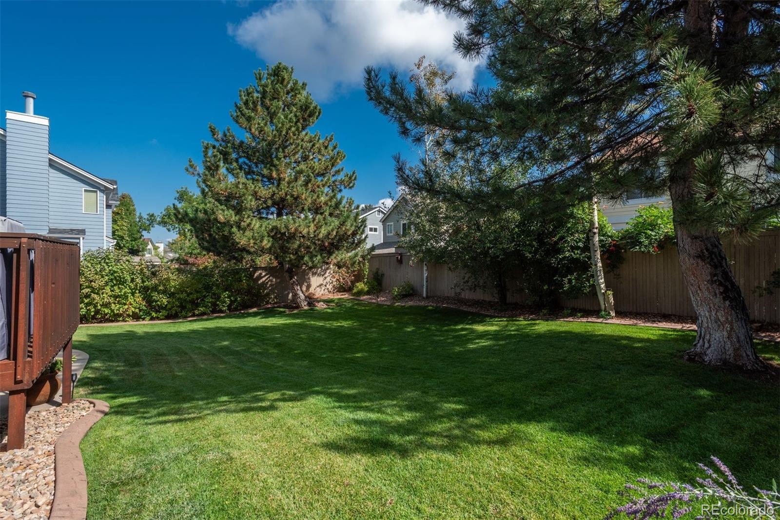 9222 Buttonhill Court Highlands Ranch, CO 80130 - Photo 40 of 44 a backyard of a house with lots of green space