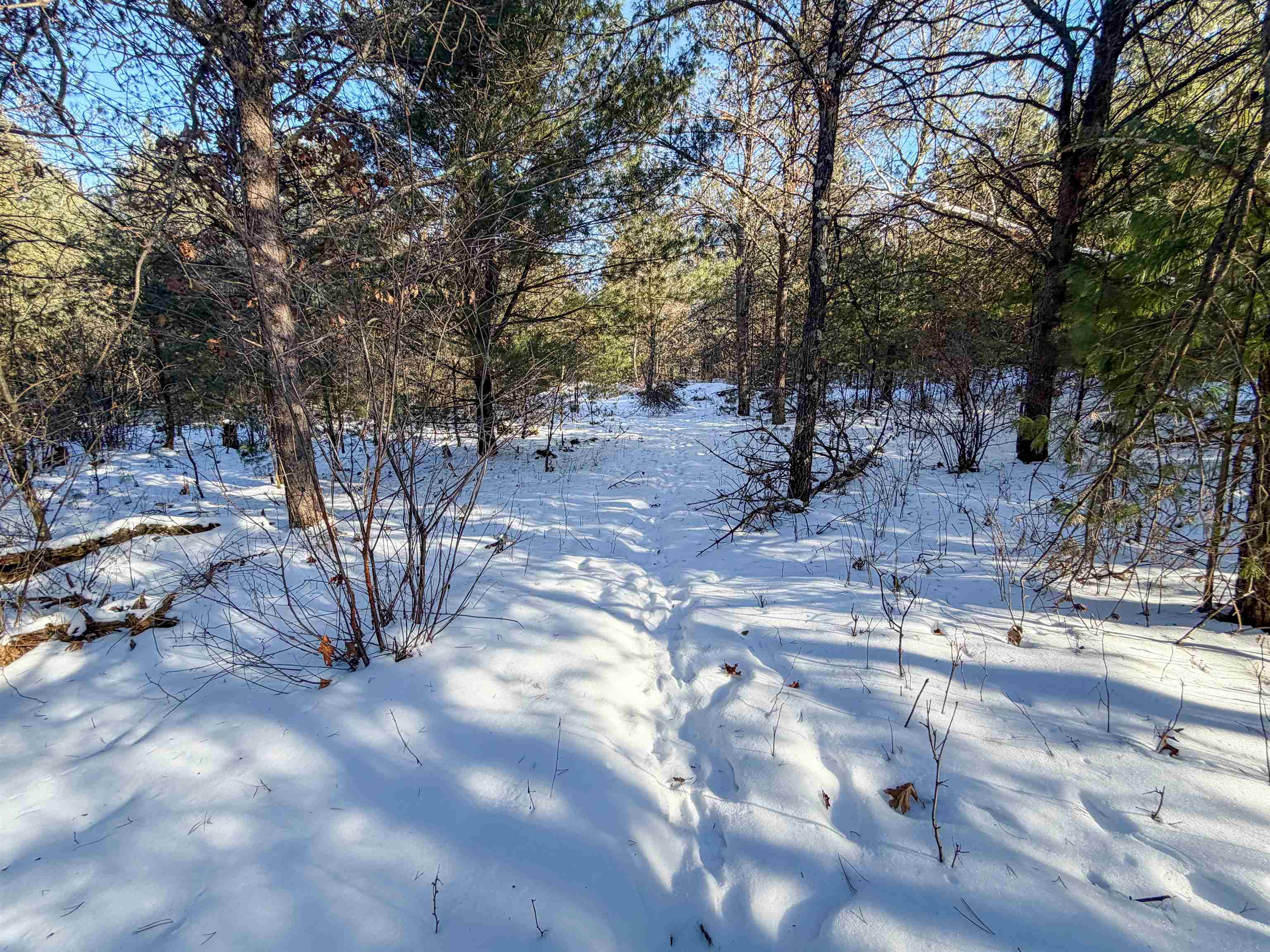 1 County Highway Sparta, WI 54656 - Photo 11 of 18