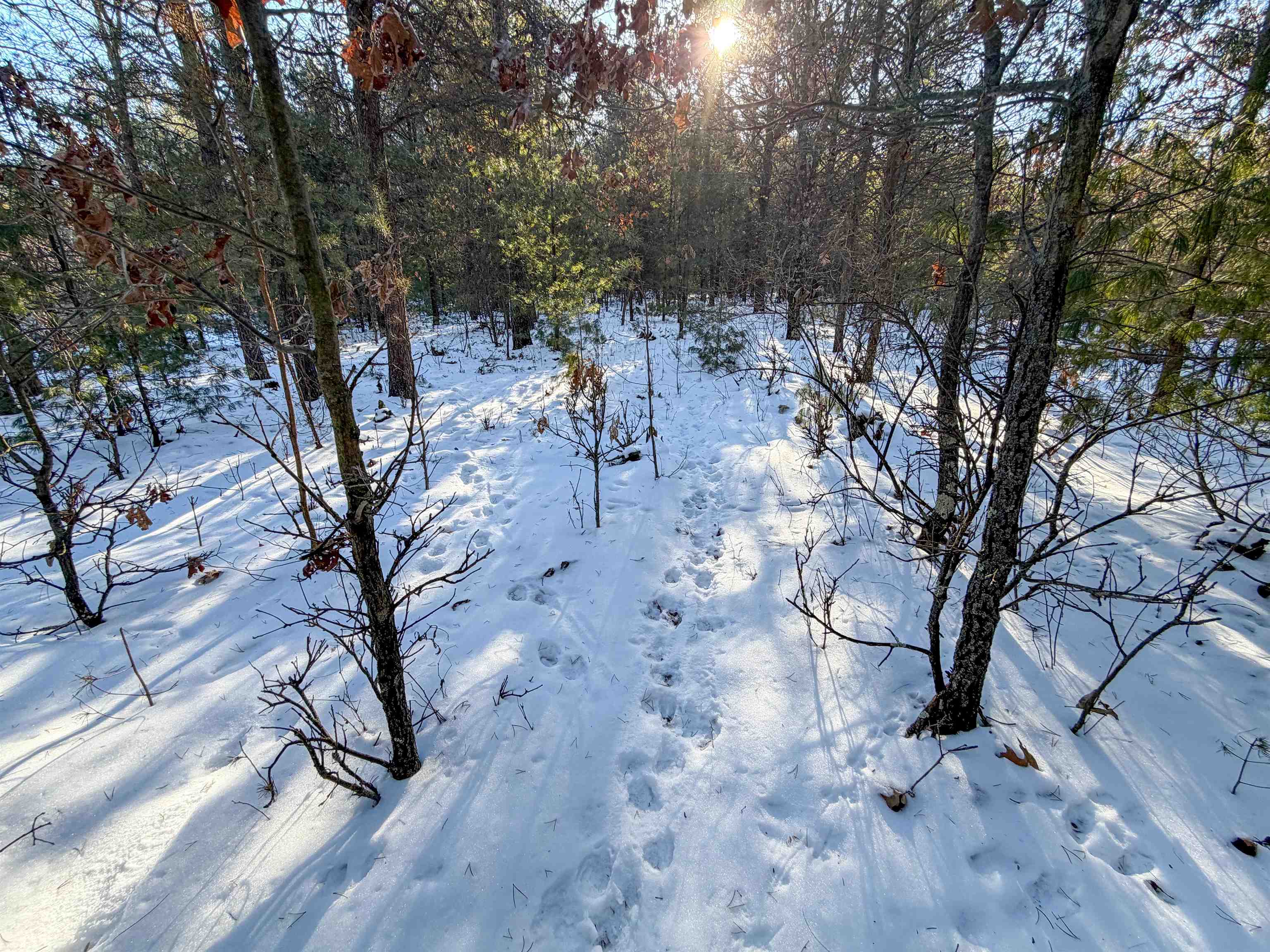 1 County Highway Sparta, WI 54656 - Photo 12 of 18