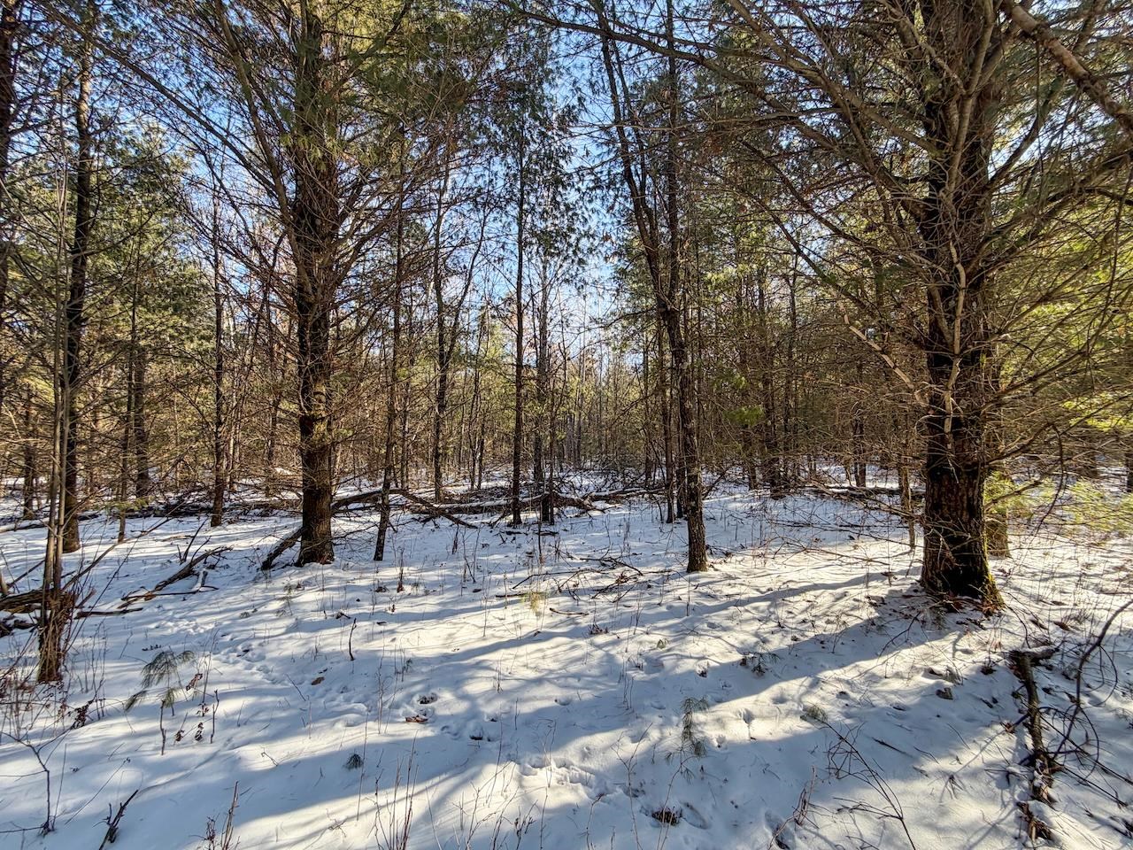 1 County Highway Sparta, WI 54656 - Photo 13 of 18