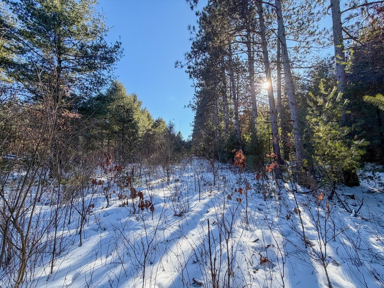 1 County Highway Sparta, WI 54656 - Photo 15 of 18