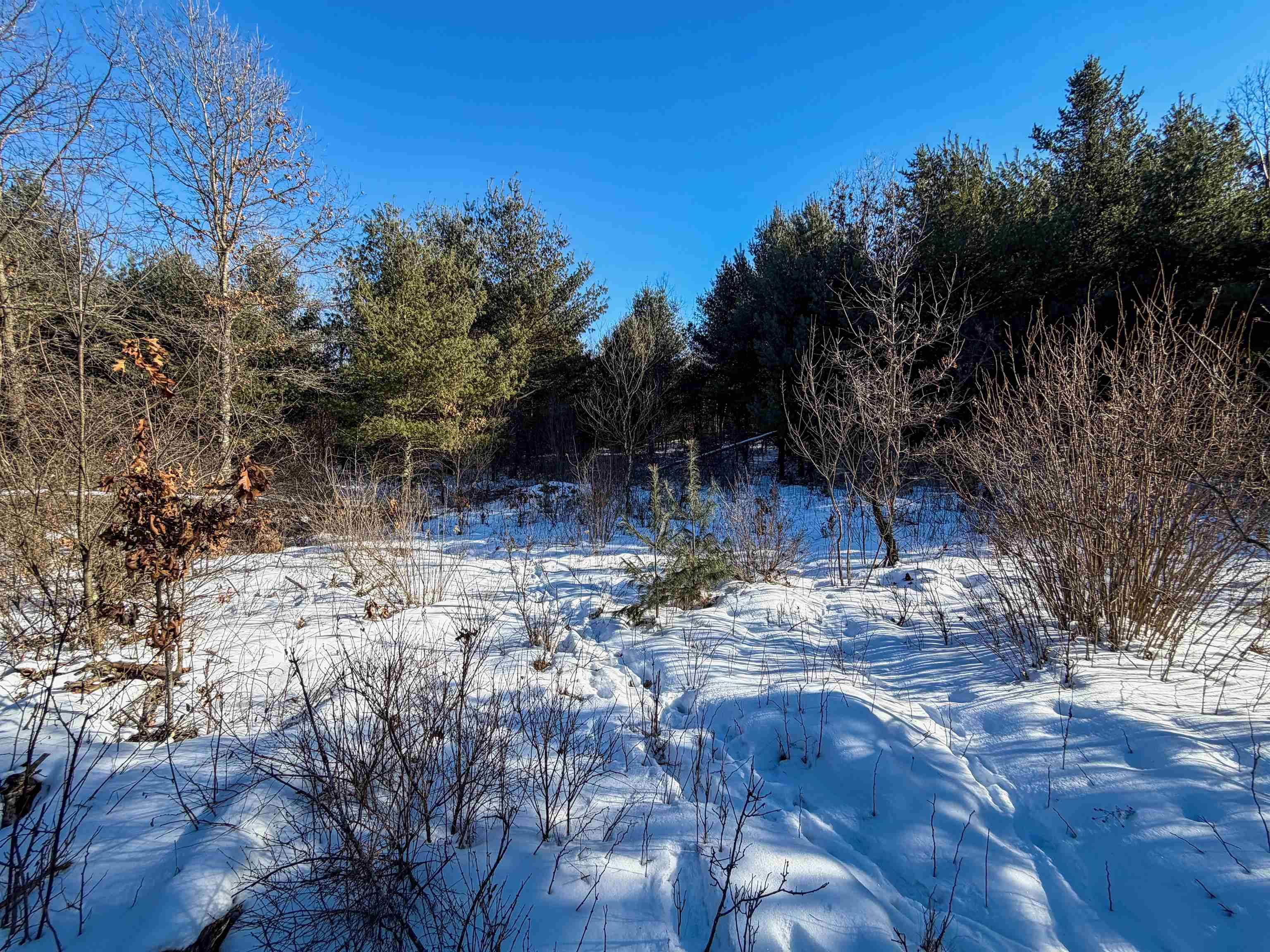 1 County Highway Sparta, WI 54656 - Photo 8 of 18