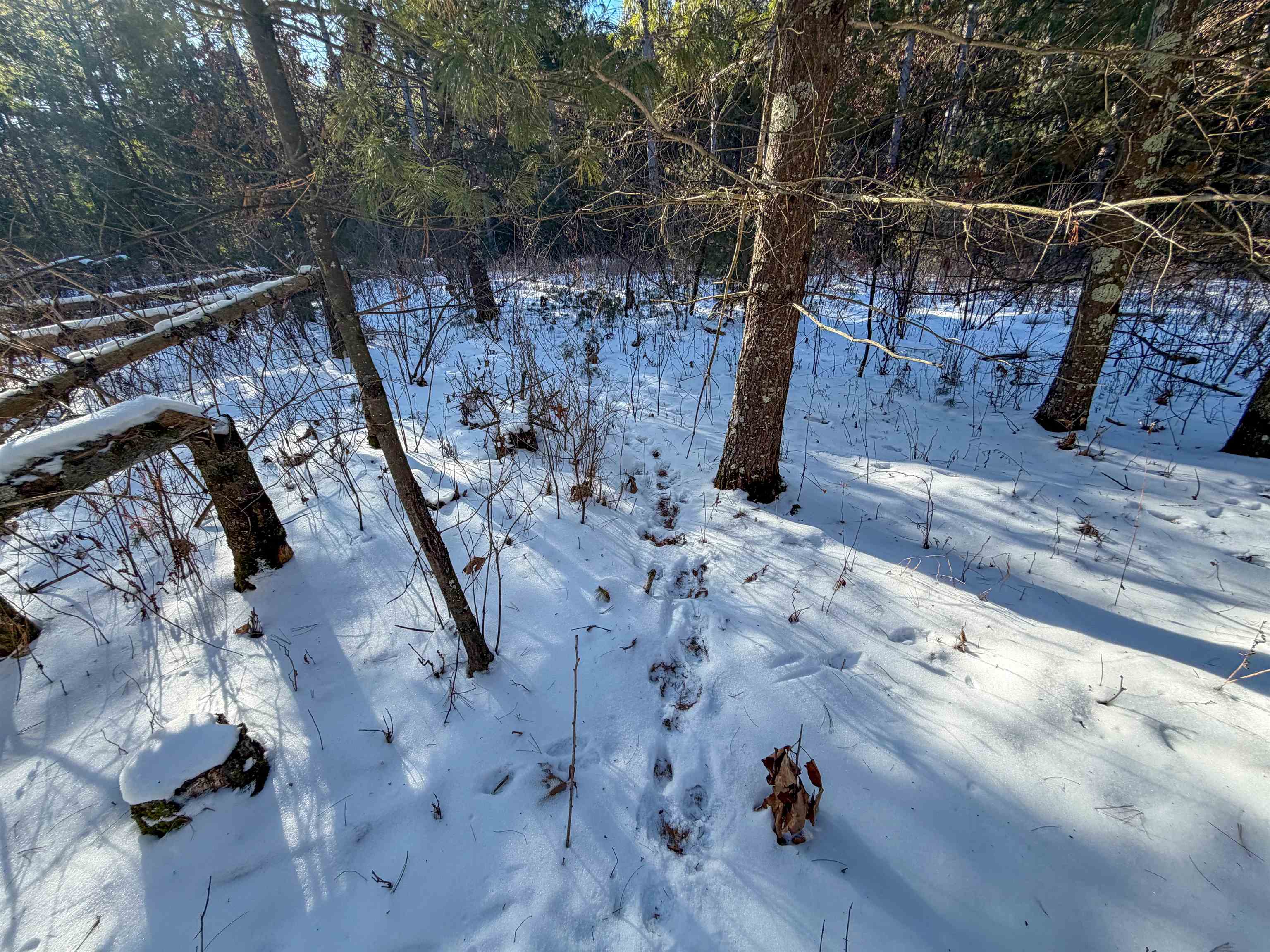 1 County Highway Sparta, WI 54656 - Photo 10 of 18