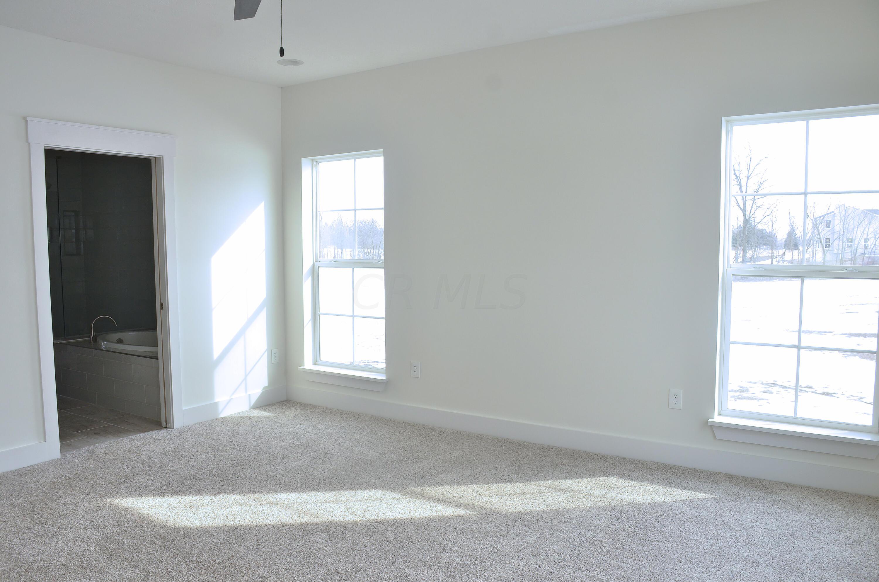 24575 Patrick-Brush Run Road Marysville, OH 43040 - Photo 42 of 99 1st floor owner's suite 4