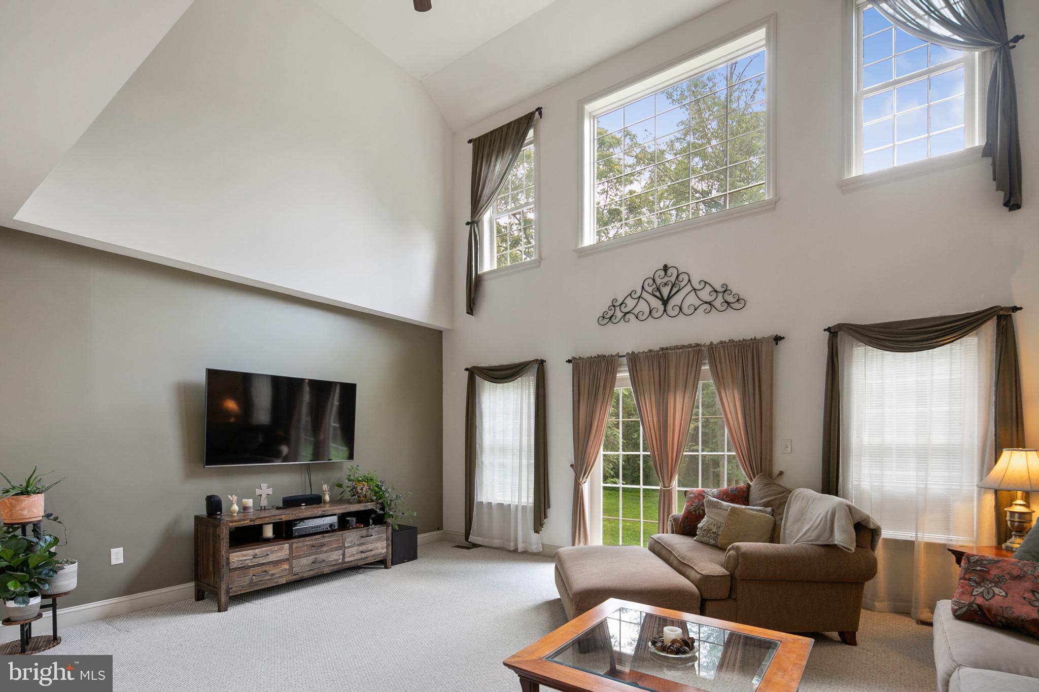 16231 Shaffer Road Sharpsburg, MD 21782 - Photo 2 of 59 Spacious Living Room with vaulted ceiling