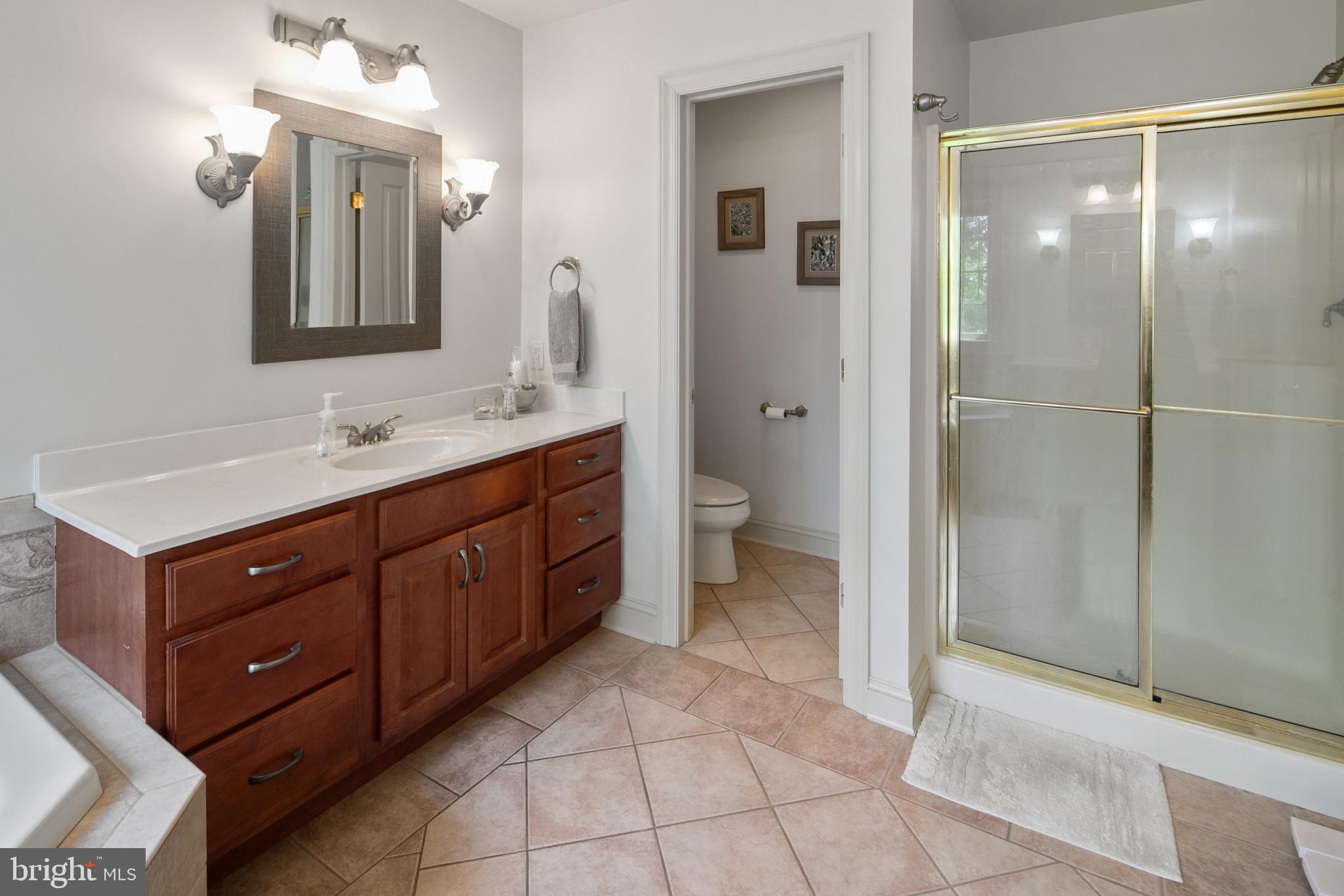 16231 Shaffer Road Sharpsburg, MD 21782 - Photo 30 of 59 Master Bath