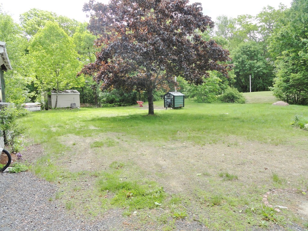 108 Knower Road Westminster, MA 01473 - Photo 5 of 25 a view of a big yard with trees