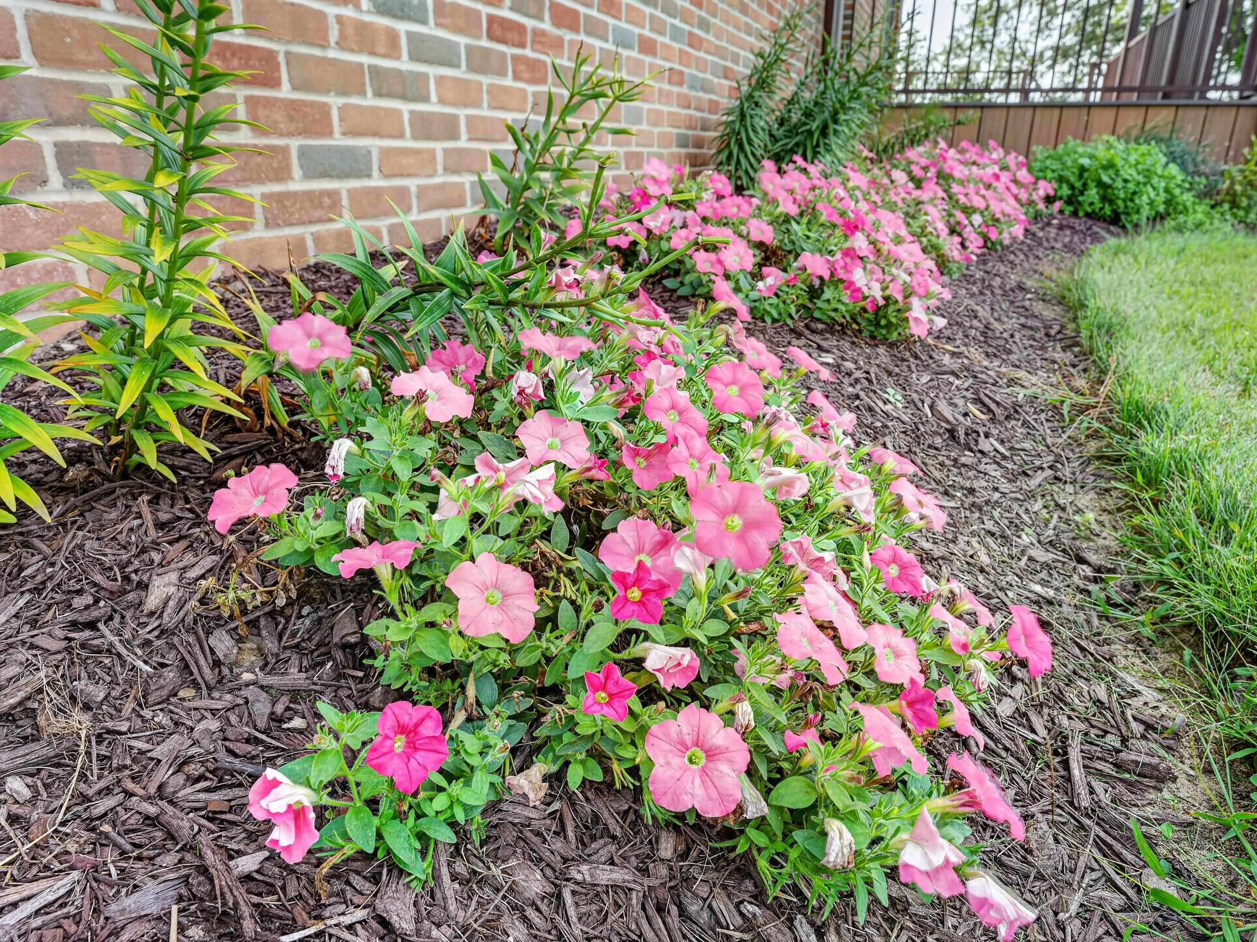 5506 North Lewis Road Coleman, MI 48618 - Photo 11 of 90 Gallery Image 11