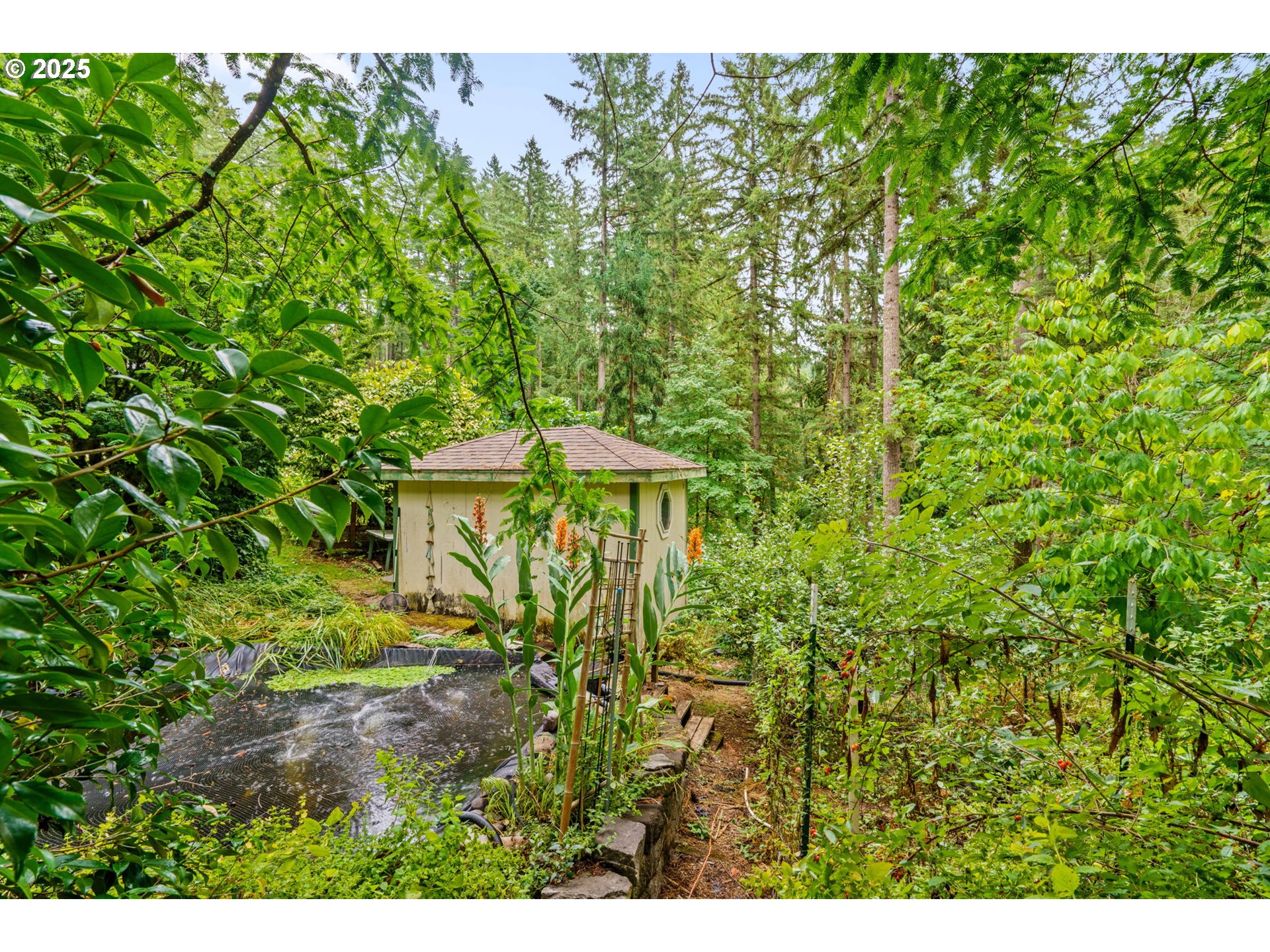 40153 Booth Kelly Road Springfield, OR 97478 - Photo 18 of 44 a view of a back yard