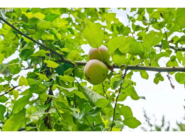 a view of a window in an outdoor space