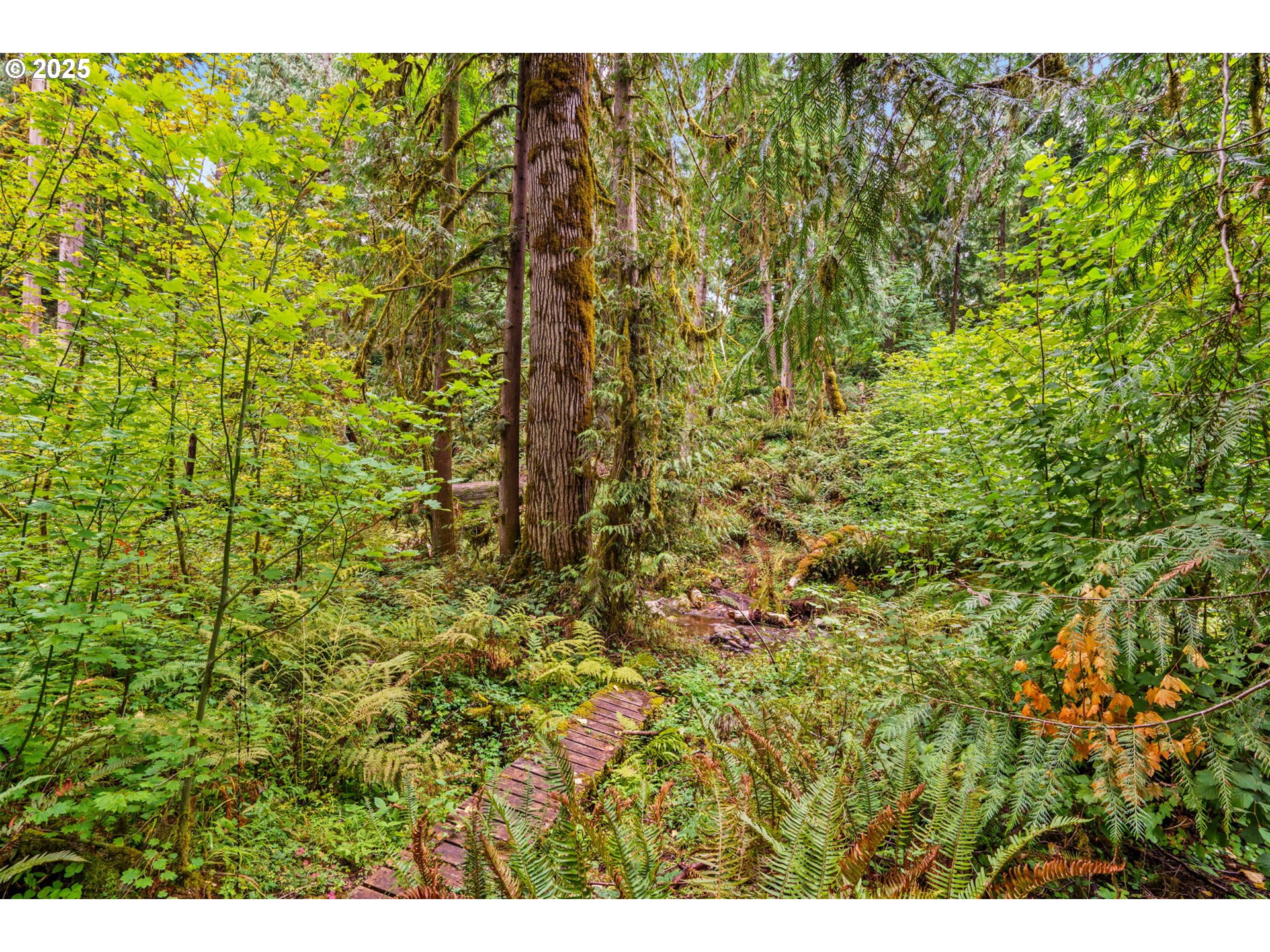 40153 Booth Kelly Road Springfield, OR 97478 - Photo 21 of 44 a view of a window in an outdoor space