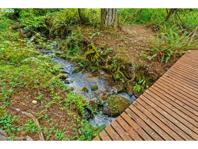 a view of a backyard