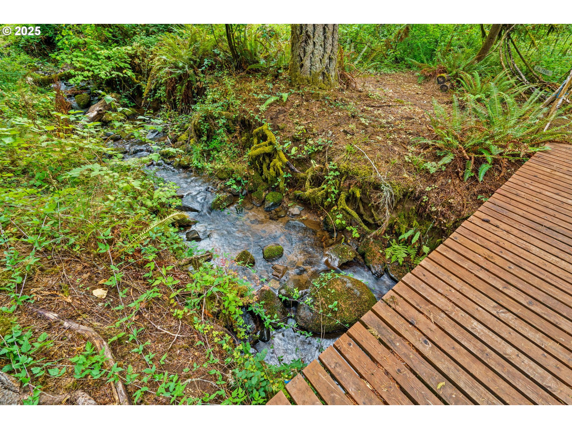 40153 Booth Kelly Road Springfield, OR 97478 - Photo 23 of 44 a view of a garden