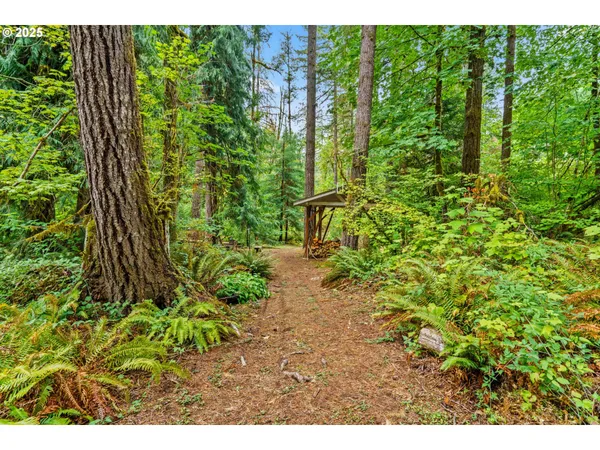a view of a plants and small trees