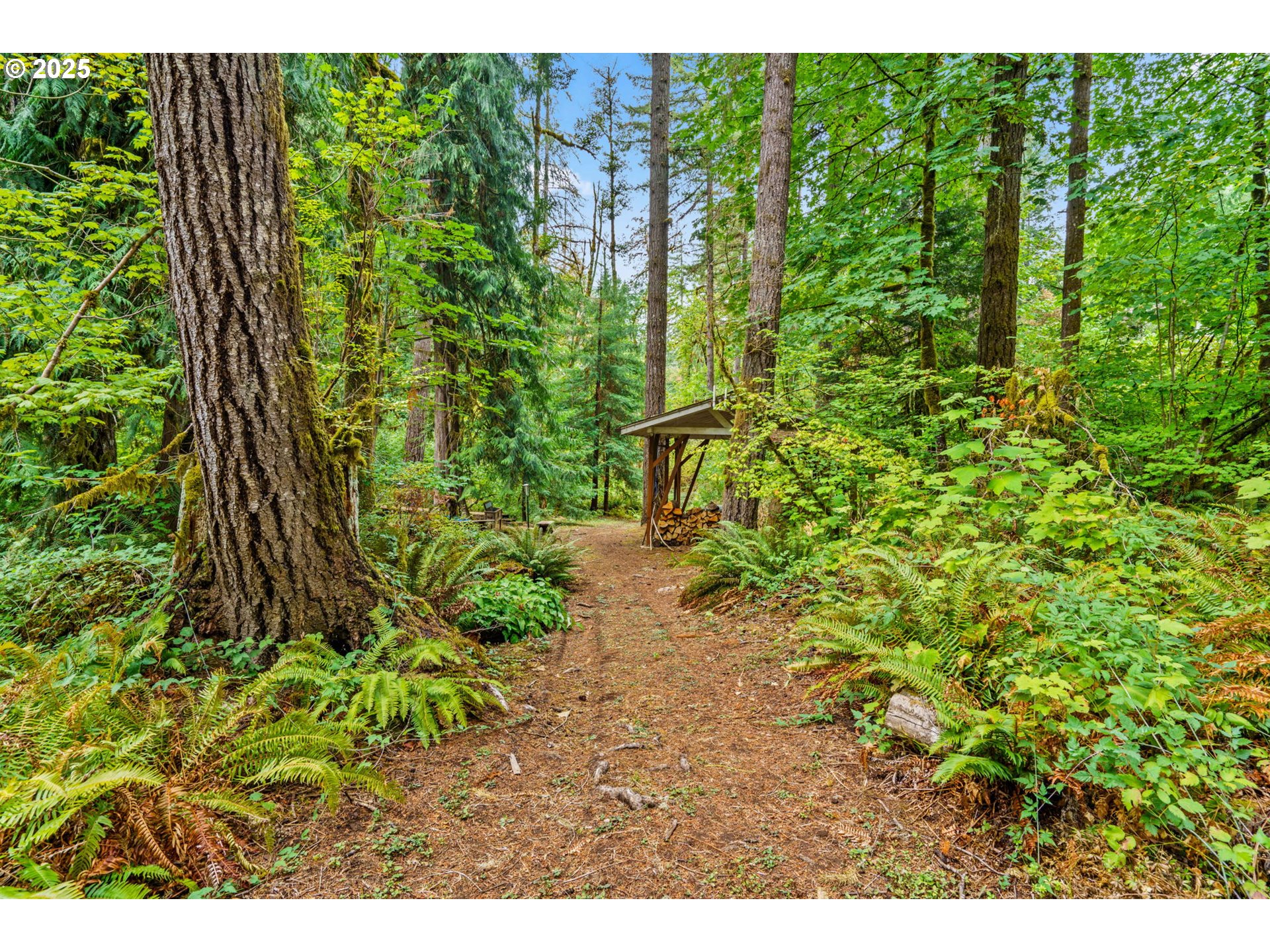 40153 Booth Kelly Road Springfield, OR 97478 - Photo 3 of 44 a view of a garden with a building