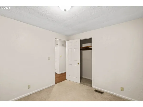 a view of flowers in bunch