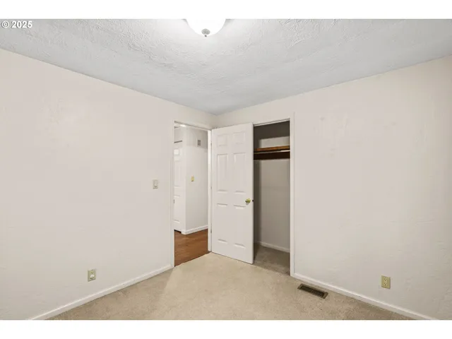 a view of flowers in bunch