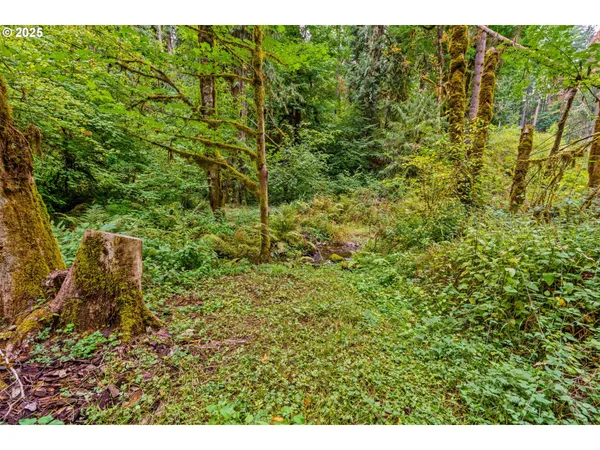 a view of electric room