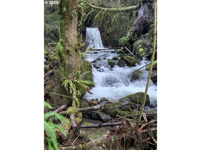 $775,000 | 40153 Booth Kelly Road, Springfield, OR 97478