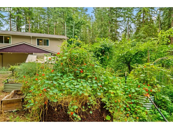 a backyard of a house with lots of green space