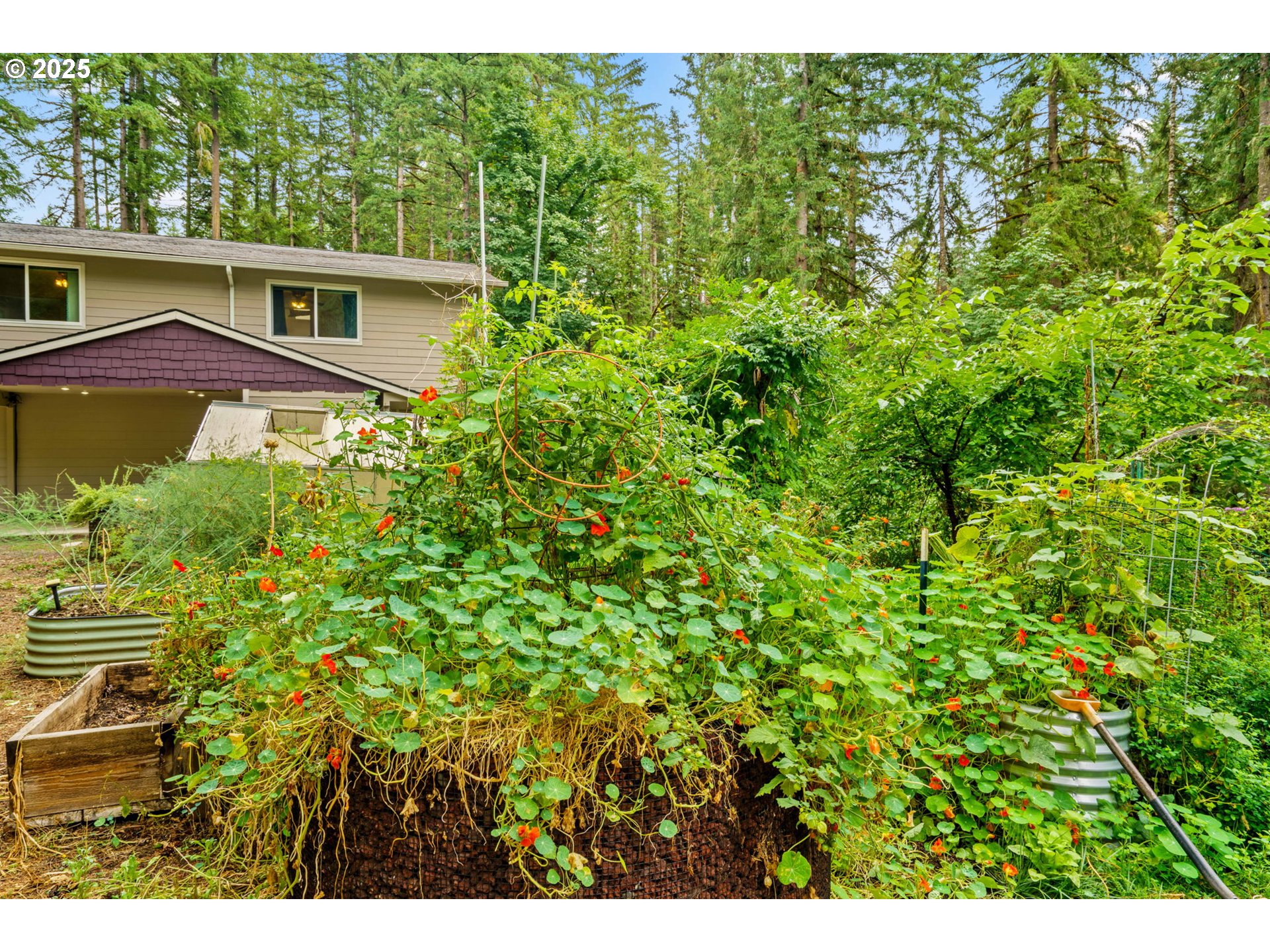 40153 Booth Kelly Road Springfield, OR 97478 - Photo 8 of 44 a view of a house with a yard