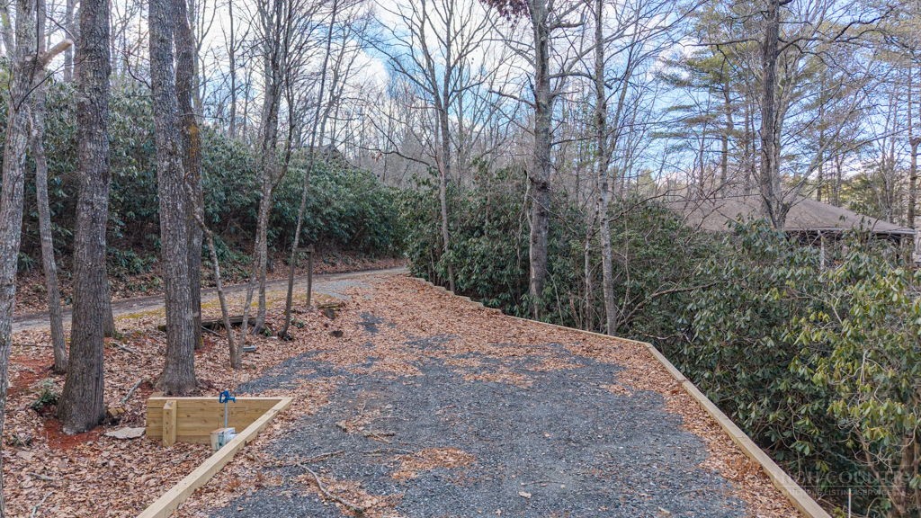 73 Laurel Road Newland, NC 28657 - Photo 5 of 9 a view of a yard with plants and trees