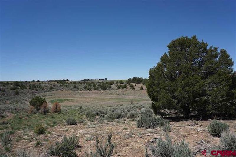 11260 Rd R Cahone, CO 81320 - Photo 11 of 26 a view of a dry yard with trees in the background