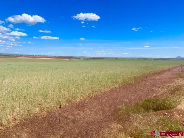 11260 Rd R Cahone, CO 81320 - Photo 16 of 26 a view of an ocean and a yard