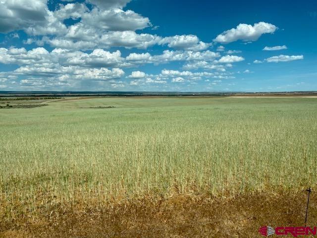 11260 Rd R Cahone, CO 81320 - Photo 17 of 26