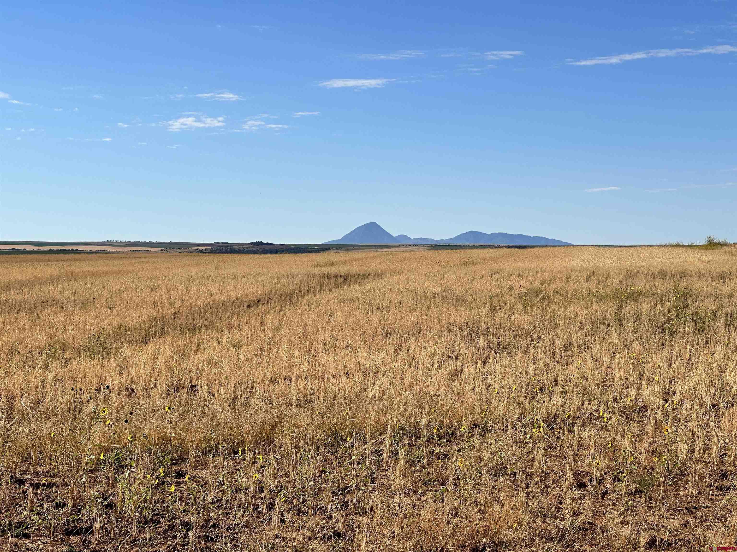 11260 Rd R Cahone, CO 81320 - Photo 23 of 26 a view of an ocean beach
