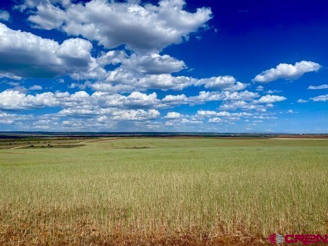 11260 Rd R Cahone, CO 81320 - Photo 6 of 26 a view of a yard