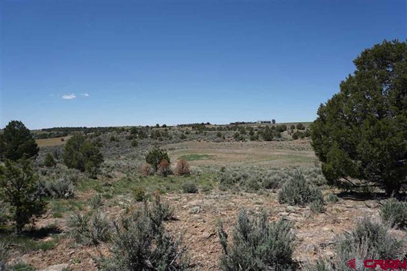 11260 Rd R Cahone, CO 81320 - Photo 8 of 26 a view of a field with trees in background