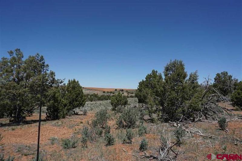 11260 Rd R Cahone, CO 81320 - Photo 9 of 26 a view of a dry yard with trees
