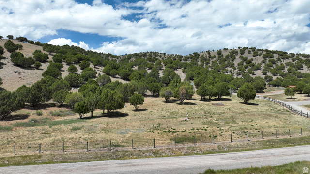 2006 Swenson Valley Road Bancroft, ID 83217 - Photo 22 of 51 Expansive hillside property featuring diverse tree coverage and a partially visible gravel road